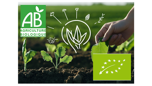 Certificación Bio AB: Tu Guía Completa para la Agricultura Ecológica en 2025